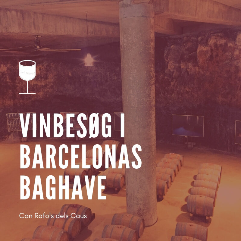 vinbesøg i barcelona